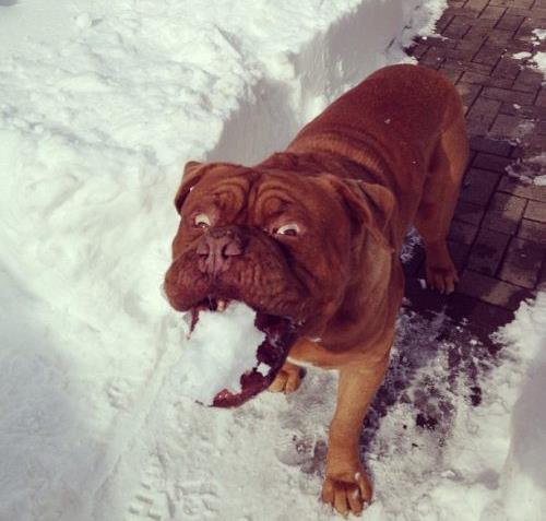 Zamanlama harikas� kareler ...