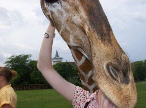 Zamanlama harikas� kareler ...