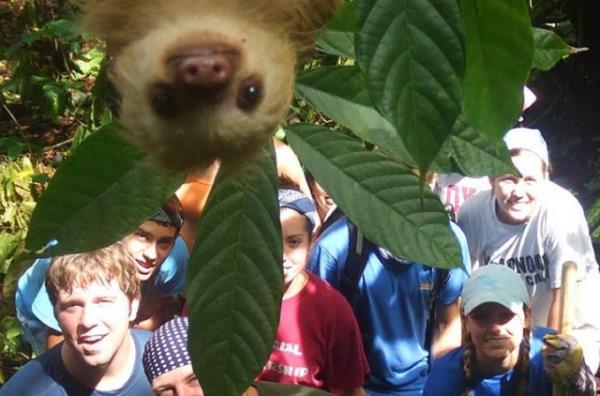 Zamanlama harikas� kareler ...