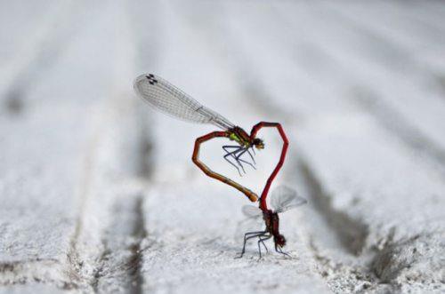 Zamanlama harikas� kareler ...