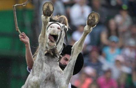 Zamanlama harikas� kareler ...