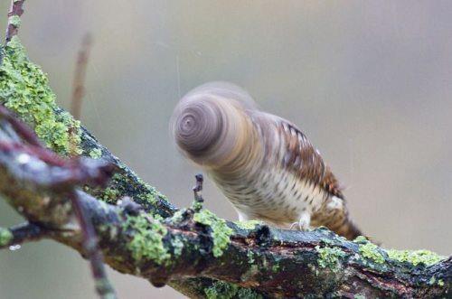 Zamanlama harikas� kareler ...
