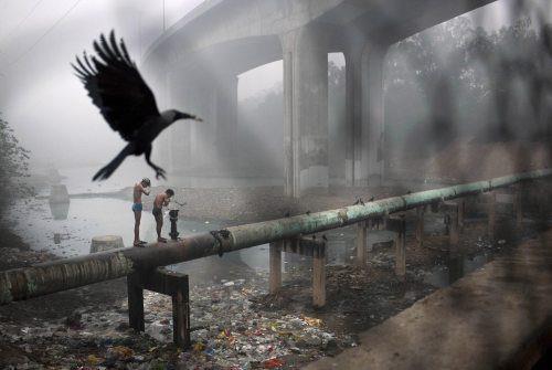 Zamanlama harikas� kareler ...