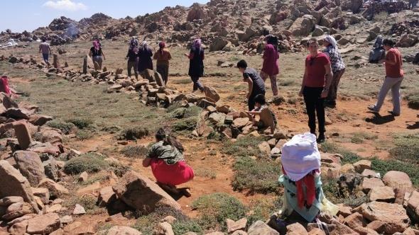 imdi de eskiden atlan topun yerine silah atlyor. Eskiden babalarmzla gelirdik, imdi kendi ocuklarmzla. Yollar yapld arabalarmzla geliyoruz. Dileklerimizi tutarz kalbimiz temiz olursa yerine geleceine inanrz" diyerek, sal olursa seneye de geleceini belirtti. iek Baba Da`nn eteklerindeki Eren Baba yatrn ziyaret edenler le namazn kldktan sonra blgeden ayrldlar.