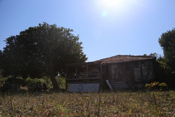 K aylarnda bir sreliine adadan ayrldklarn syleyen Mustafa Ik, havalarn snmas ile soluu adada aldklarn ve tm seneyi burada geirdiklerini syledi. Ik, adada kendilerinden baka hi kimsenin olmamas sebebiyle korona virsten hibir nlem almadan korunabildiklerini dile getirdi.