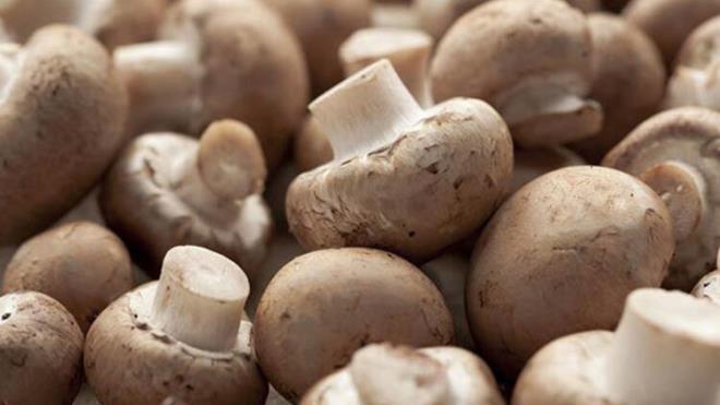 Mantar  <br>Sadece lezzetli deil, ayn zamanda mantarn iyiletirici harika zellikleri de var.Mantar, baklk glendiriciler ve zengin bir selenyum, magnezyum ve inko kaynadr. Gl antiviral zellii, onu faydal bir souk algnl yemei yapar.