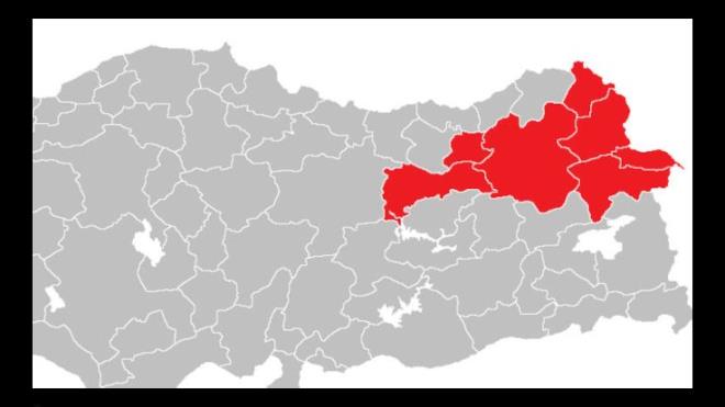 <p>KUZEY DOU ANADOLU</p>               <p>Kuzeydou Anadolu'da 80 yeni vaka grld.</p>