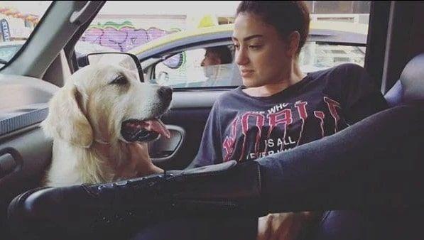 arkc, kardei do Tatlses'le de arasnn bozuk olduunu ve kardeinin evresinin basksyla sesini kskanm olabileceini syledi.