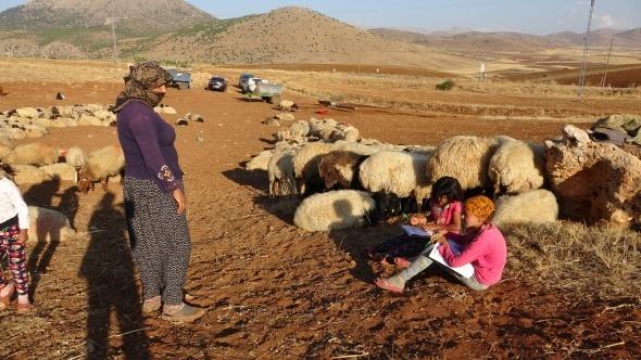 Fatmagl Deveci ise gn iinde hem ders alp hem de koyun gttn, zor ama yaadklarnn ok gzel olduunu syledi.
