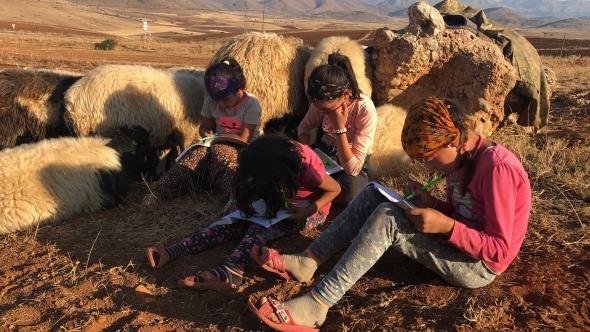 Hayallerinde doktor, retmen olmak yatan Yrk kz Huriye, kardeleri ve kuzenleri bulunduklar ortamda bilgisayar tablet olmad iin canl derslerden yararlanamazken sadece kitaplarndaki bilgiler ile yetinerek hayat artlarnn zorluklarna aldrmadan hedeflerine 800 koyunun bulunduu srnn peinden aileleri ile birlikte kouyor.