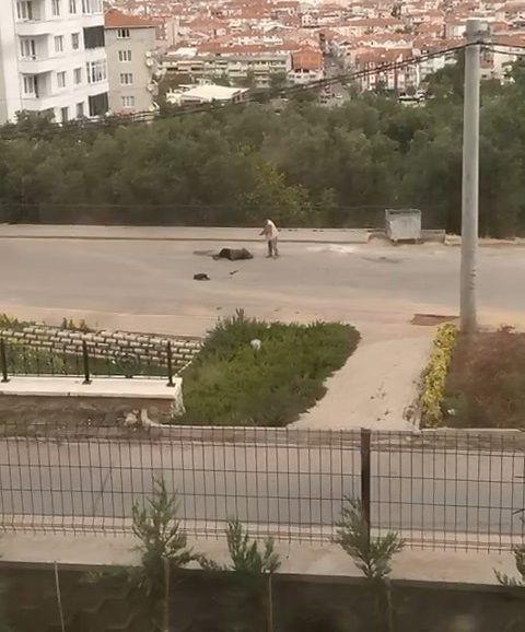 Genlerin kendisine doru geldiini gren rfan G., olay yerinden kat. evredekilerin ihbaryla olay yerine salk ve polis ekipleri sevk edildi.