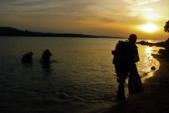 Trkiye'nin eitli yerlerinden gelen dallar, burada sular altna girerek, hem tarihe ahitlik ediyor, hem de deniz canllarnn byleyici gzelliini gryor.