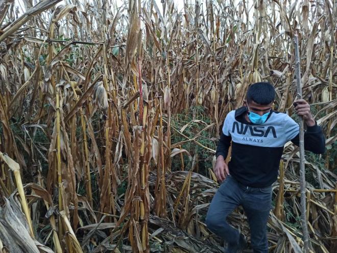 Ayy grd gibi kaarak kahveye geldi  Mahalle sakinlerinden Emrah Tarm, &#8220;Getiimiz gnlerde arkadamz tarlasn srmeye gelmi, geldiinde burada ayy grm. Grd gibi kam ve kahveye giderek muhtar aram. Farkl kiilerde grm. Muhtarmzda yetkililere bavurmu ve ekipler geldi blgeye baktlar ama bulamadlar&#8221; diye konutu.