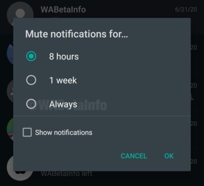 Yeni gelen zellik sayesinde kullanclar artk karsndakini snrsz sreyle sessize alabilecek. Bylece tekrar ses alana kadar kiinin ya da grubun sesi kendi kendine almayacak. Son gncelleme sonras yeni zellik kademeli olarak kullanclara bugn datlmaya balad.