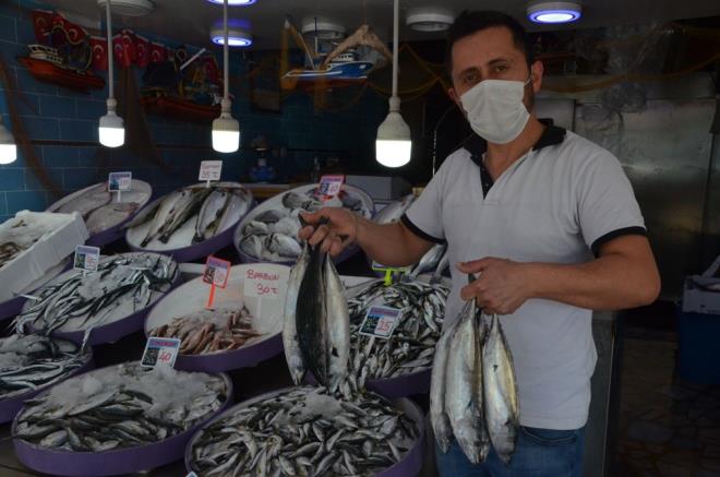 Balklar, bu sezon palamut satlarnn olduka fazla olduunu ifade ederek, bollamas durumunda ilerleyen gnlerde fiyatlarn daha da debileceini ifade ediyor.