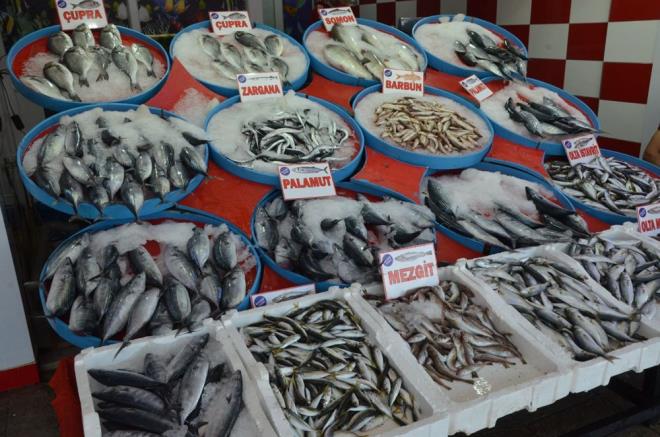 Bu yl bol miktarda palamut olduunu ve insanlarn talep gsterdiini anlatan Kl, &#8220;Byk boy palamutlar 10-12 liradan satlyor ve bunlar iki kiiye rahatlkla yetiyor. Kk boydaki palamutlar ise tanesi 5 liradan satyoruz. nsanlar imdiden bol bol alyor, dondurucu dolaplarda muhafaza etmek iin de alanlar var&#8221; dedi.