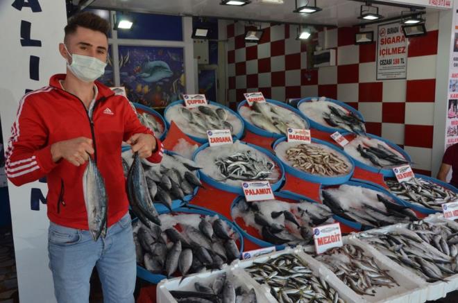 Balk Mert Gltekin ise sezonun gzel getiini ifade ederek, en ok palamut balnn tercih edildiini aktard. Gltekin, insanlarn krmz ete oranla daha ok balk tketmesi gerektiini ifade ederek, ilerleyen gnlerde balklarn daha da bollamas durumunda fiyatlarn de geebileceini aktard.te yandan, tezgahlarda kalkan balnn kilosu 150, inakop 40, barbun 30, istavrit 25, sargan 35, mezgit 40, somon 35, ipura 40 ve levrek 45 liradan, palamut ise boyutuna gre 5 ile 12 lira arasndan satlyor.