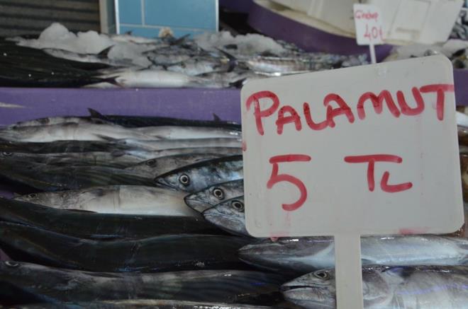 Denizlerde 1 Eyll tarihinde balayan av sezonu srerken, bolluk grlen palamut balnn iri boyuttakilerinin tanesi 10, daha byk olanlar ise 12 liradan satlyor.