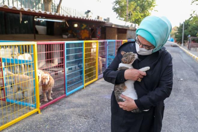 ERDOAN'DAN TOPLUMA RNEK DAVRANI  <br>Barnakta kalc yuvalarn bekleyen ok sayda hayvann yaamlarna ve barnaa getirili hikayelerine dair incelemelerde bulunan Erdoan, 'Leblebi' isimli engelli bir kpei de sahiplendi.