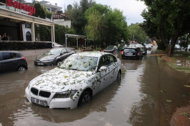amlca'da yaayan Zbeyde zkan ise, "Bizim evin st inko, takr takr sesler geldi. Korkuntu. Yeniden yaacan rendiimiz iyi oldu. Kendimizi garantiye alrz, arabalarn stlerini rtmtk hemen, hal kilim ne varsa onlar geirmitik" diye konutu.