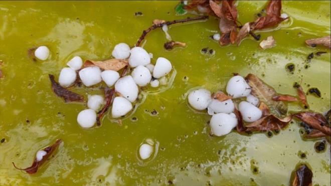 *"Bu sistem hzl bir ekilde gelince, zellikle Marmara ve Ege'de kuvvetli yalarla birlikte dolu riskini artryor. Dolu oluma olasl ok yksek grnyor. Beraberinde hortum da oluabilir. Perembe gn len ve leden sonraki saatlerde Trakya'dan giri yapacak. ncelikle yalar Edirne almaya balyor ardndan Marmara'nn bats ve Ege'nin Kuzey kesimlerine kadar bu yal sistem sarkacak. Gn iinde bu sistem stanbul'u etkisi altna alyor ve Marmara'da Perembe ile Cuma gnleri kalacak."