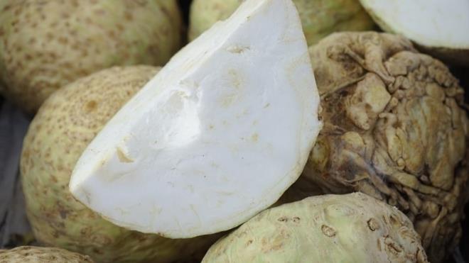 Kereviz: Cilt problemlerine ve ast�m gibi hastal�klara iyi gelmesiyle bilinen kereviz, antioksidan deposudur.