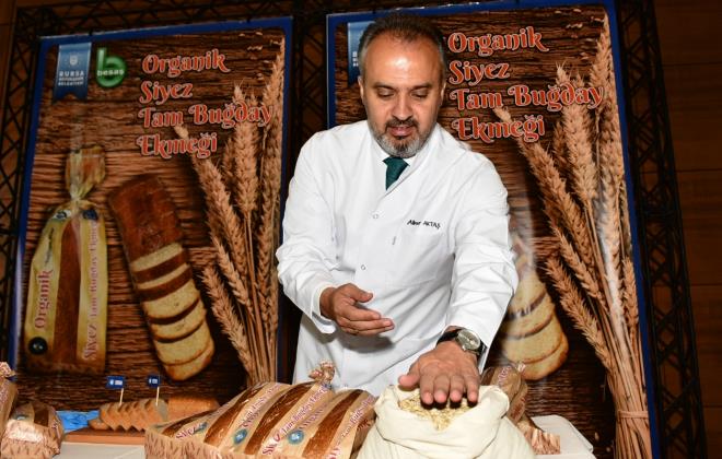 &#8220;Budayn atas olarak kabul edilen ve baz kaynaklara gre 12 bin yl nce kltre alnd sanlan Siyez budaynn Bursa&#8217;da da retimi gerekletirilmi olduk. Trkiye&#8217;de youn olarak Kastamonu&#8217;da yetitirilen Siyez budayna ilgi genetik yapsnn bugne kadar hi deimemi olmas nedeniyle giderek artyor. Son yllarda organik rnlere olan ilginin artmas, fonksiyonel gda araylar, vitamin, mineral ve lif bakmndan zengin olan eski budaylar yeniden gndeme getirdi. Hasat edilen 34 tona yakn Siyez buday, ilenerek BESA tarafndan Bursa&#8217;llarn sofralarnda yer alacak. Gluten oran dk olan Siyez buday, modern budaya gre iki kat daha fazla A vitamini ieriyor. Daha fazla demir ieriyor ve genetik yapsnda herhangi bir deiim olmad iin de salk asndan bir risk tamyor. Bu rnn Bursa&#8217;mzda yetimesi iin emek veren herkese teekkr ediyorum&#8221; diye konutu.