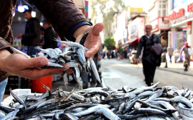 Varlk, "Balk yalandka lezzetlenir, hava soumadan da yalanmaz. Bir de balklar yumurtadan yeni kt, yani yumurtadaki balk yal olmadndan bugnlerde her balktan lezzet beklenemez&#8221; diye konutu.