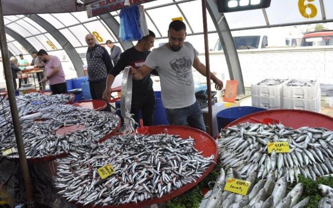 Nasl piirilmeli?: Baln pf noktalarndan birinin de salkl piirme yntemi olduunu ifade eden Prof. Dr. Candan Varlk &#8220;Bal en salkl piirilme yntemi buulamadr. u an tam mevsimi olduundan palamut ve hamsi buulama nerilebilir. Levrek, inekop ve sarkanat da buulanr ama u an palamut ideal. Balklar ok yakmadan zgara da yaplabilir. Balk eer yada kzartlacaksa kesinlikle eski ya kullanlmamaldr." dedi.