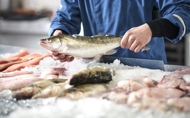 Varlk, "Kzartmada btn rnler iin geerli olan bir ey vardr. O da yan ok kzgn olmas. Bal yapmasn diye unlamak ise deerini arttrr fakat tadn bozabilir. Alminyum folyoya sarlarak da balk piirilebilir. Byle olursa suyu iinde kalr veya bir tatl su bal yumurta ve galeta ununa batrlarak da piirilir." szlerini kulland.