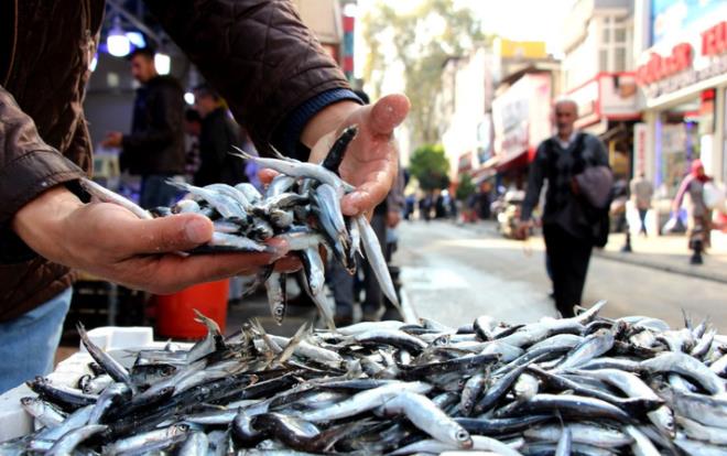 Denizlerde balk sezonunun almasyla koronavirs dneminde balk tketimini ele alan stanbul Aydn niversitesi Gzel Sanatlar Fakltesi Gastronomi ve Mutfak Sanatlar Blm Bakan Prof. Dr. Kamil Bostan ve retim yesi Prof. Dr. Candan Varlk, &#8220;Pandemi srecinde balk tketimini arttrmak gerekiyor. Bunun iinde bol protein almak ve vitaminli, mineralli besinler tketmek gerekiyor. Balk yerken zaten vitamin ve mineralli maddeleri soandan, salatadan alyorsunuz&#8221; diye konutu.