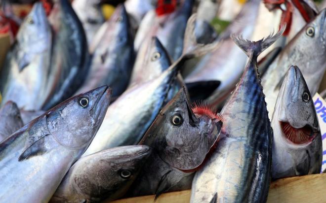 Varlk, "Dondurulmu rn en salkl rndr denebilir. Besin kalitesinde ok fazla dme olmaz. zdrme iini de doru yapmak gerekir. Evde bal dondurmak ok salkl deil ama dondurmak isterseniz iini temizleyip, kann alp dondurabilirsiniz. Besin deerini kaybetmemesi iin aldnz bal bir hafta ierisinde tketmeniz gerekir.&#8221;  szlerini kulland.