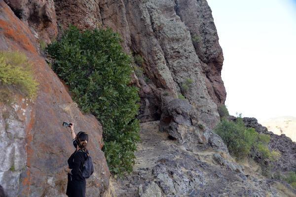 Katlar aras gei, yuvarlak bacalarla, odadan odaya geiler ise kaplarla salanyor.