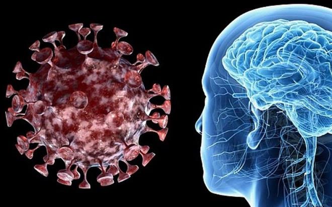 te yandan yaygn olarak, koronavirsn sebep olduu kan phtlamas ve sitokin frtnas ana neden olarak grlyor.