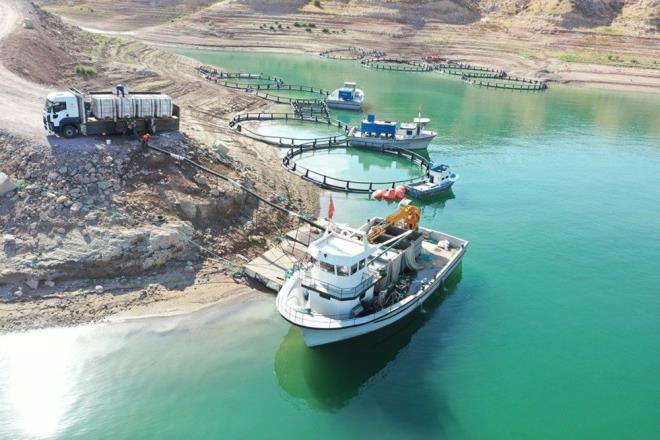 2019 ylnda 193 ton, 2020 ylnda bin 400 ton somon bal retimi gerekletirilen tesislerde, nmzdeki yllarda retimin 2 bin 500 tona karlmas iin gerekli planlamalar yapld.