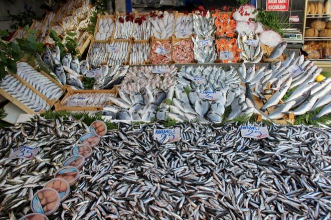 Balk Hamza Kksoy da Karadeniz'de hamsinin bollatn ve fiyatlarn daha da dmesini beklediklerini ifade etti.