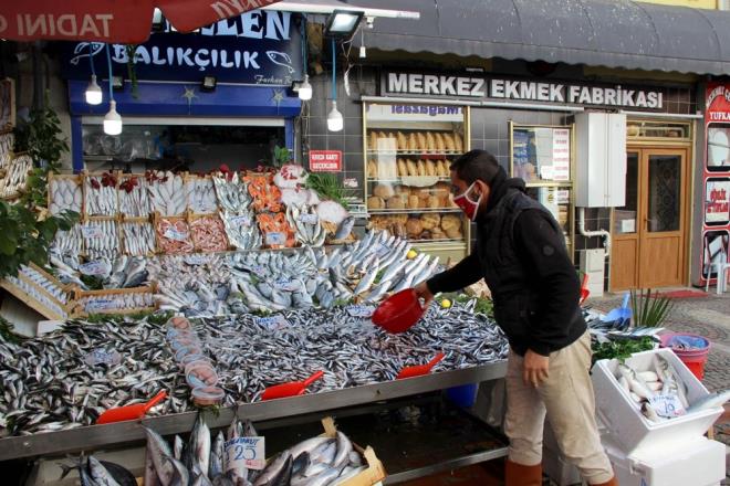 Hamsinin bollamasyla Edirne Balk Pazar'nda tezgahlar enlendi. Fiyatn dmesi hem balklar hem de vatandalarn yzn gldrd.