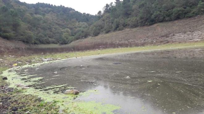 DP SUYUNDA AN YAITA RSK ARTIYOR<br>  Prof. Dr. lhan, suyun barajlardan ebekeye verilmeden nce testlerden gemesi gerektiini belirterek, yle konutu: