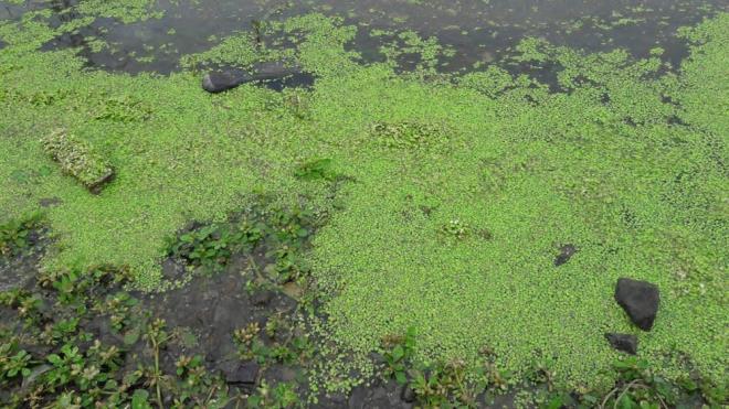 stanbul barajlarnn doluluk oran bugn itibariyle yzde 29.43 seviyesinde. Alibeyky Baraj&#8217;nda 24.21 seviyesindeki doluluk oran nedeniyle tarihi su kemeri neredeyse tam boy grnyor. Bilim Kurulu yesi ve Gazi niversitesi Tp Fakltesi Halk Sal Ana Bilim Dal Bakan Prof. Dr. Mustafa Necmi lhan,  barajlarn yzde 30&#8217;un altndaki doluluk oran ve bunun insan salna etkileri konusunda, u deerlendirmelerde bulundu: