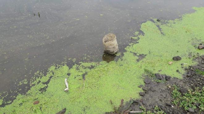 &#8220;ebeke suyuna verilecek olan sularn tahlillerinin tam olarak yaplas gerekiyor. Bu ister dip suyu olsun, isterse st su olsun deien hibir ey sz konusu deil. Bunlarn tamamnn fiziksel, kimyasal ve biyolojik muayeneden geirildikten sonra ebekeye verilmesi gerekiyor. Bu srada bata klorlama ve filtreleme olmak zere dier mikro organizmalardan da arndrlmas gerekiyor. Dip suyun yle bir riski elbette olabilir; suyun altna ar maddeler ker, partikller ker gibi gzkebilir. Fakat burada aslnda nemli olan denizlerde de benzer durum geerlidir; dipte en altta ar metaller kalr eer suda varsa. Yani cva, demir gibi ar metaller en altta kalr. Bu sularda bu tip riskler sz konusu olabilir. Bu nedenle mmknse barajlarn dolu olmas gerekir. Ancak tehlikeli seviye sz konusu olmayana kadar baraj iindeki tm sular kullanlabilirdir&#8221; dedi.