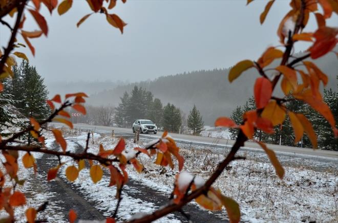 Bu arada karla kaplanan ve dnyada ei ok nadir grlen saram ormanlar, sar ve kzla brnm aalar kartpostallk manzaralaryla grenleri hayran brakt.