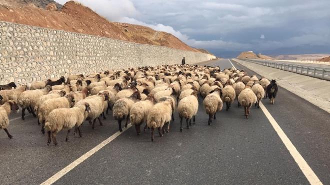 YAKLAIK 30 GN SRYOR  Yolculuklarnn yaklak 30 gn srdn aktaran gerler, hava souduu iin dn yolculuuna baladklarn ifade etti.
