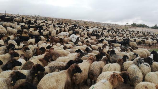 Batman&#8217;n Hasankeyf ilesinden geip Mardin&#8217;e giden gerler, Dou Anadolu yaylalarnn iklim yapsnn st ve rnlerine nemli katk saladn belirtti.