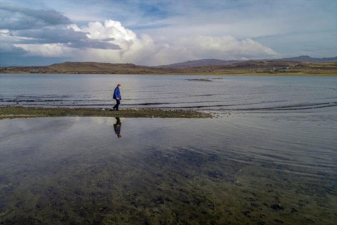 YY Su rnleri Fakltesi Dr. r. yesi Mustafa Akku ise Van Gl'nn dier sucul ekosistemlerden farkl bir zellie sahip olduunu, kar ve yamur sularyla beslenen glde hava artlarna bal olarak su seviyesinde deiimlerin yaandn aktard.