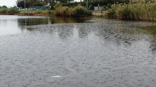 Blgede bulunan birok sanayi kuruluunun arasndan, Silivri cezaevi yaknndan geen Esendoruk Deresi, corona virs salgn nedeniyle bir ounda halen oturulan yazlklarn arasndan kvrlarak Marmara Denizi'ne dklyor.