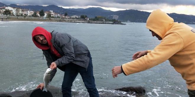 Denizde zel tesis sahiplerince yaplan incelemede, kafesin alarnn denizdeki iddetli frtna nedeniyle yrtld, evreye yaklak 2 ton levrek ve somonun dald belirlendi.