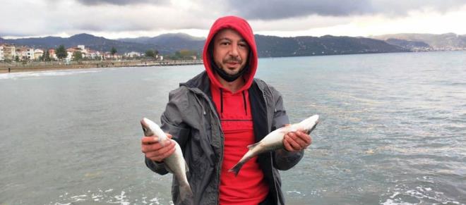 Sahile gelen Murat zdemir, herkesin oltayla kyya geldiini belirterek &#8220;Dn daha iyiydi, bugn pek yoktu, duyan geldi haliyle herkes bala doydu. Kafes yrtld syleniyor&#8221; dedi.