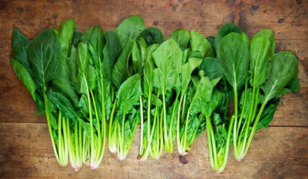 Ispanak yksek oranda demir ierir. Demir ise beynin salkl bir ekilde almas iin vcudun ihtiyac olan minerallerden biridir. Ayrca spanan ierisinde A, C ,E ve K vitaminleri de bulunur. Bu sayede ise hipertansiyon, metabolizma ve gz hastalklarnn tedavilerinde de doktorunuzun nerisiyle yardmc besin olarak tketilebilir.