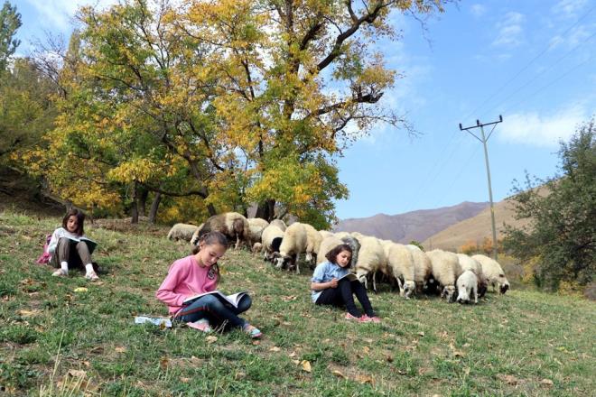 Yetkililerden, tablet bilgisayar ve daha salkl alan internet alt yaps istediklerini anlatan Kayan, "nternete bazen balanamyoruz. Biz de bu amz gidermek iin frsatn bulduumuz her yerde ders alyoruz. Yetkililerden de tablet bilgisayar ve daha salkl alan internet altyaps istiyoruz" dedi.