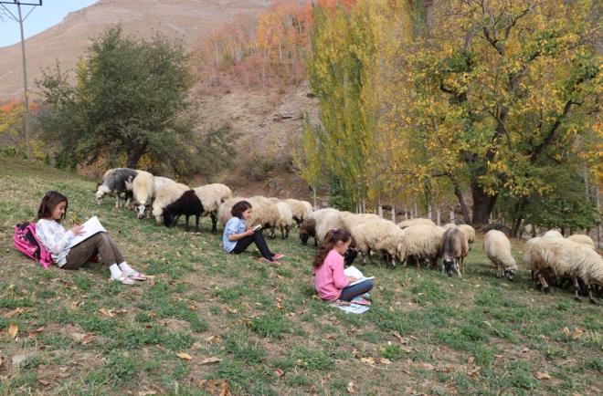 renciler; haftann dier gnlerinde ise koyunlar otlatmak iin meraya gtrerek hem ailelerine yardmc oluyor hem de bir araya gelip ders alyor.
